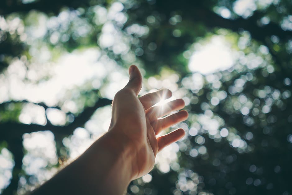 pexels-photo-1654698-1654698 A hand reaching towards the sky, capturing sunlight in a lush forest setting.